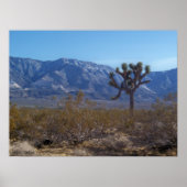 Der Kontrast Poster (Vorne)