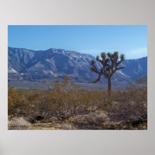 Der Kontrast Poster (Vorne)