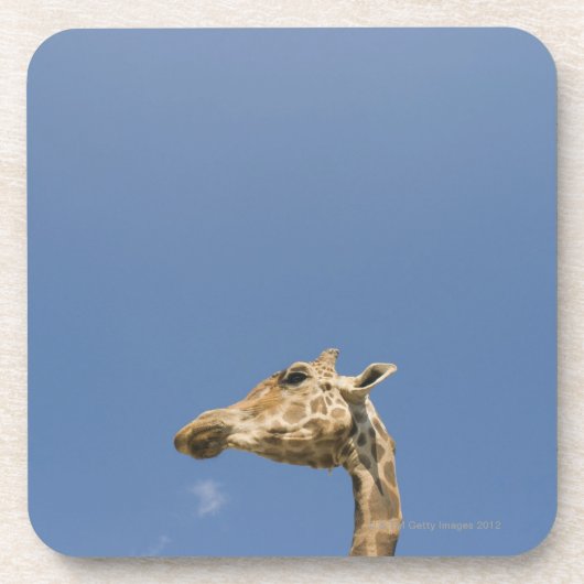 Der Kopf der Giraffe Untersetzer (Vorderseite)