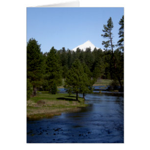 Der Kopf des Metolius