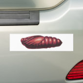 Der Kopf-Falke-Motte des Todes Autoaufkleber (Auf Auto)