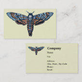 Der Kopf-Motte des Todes, alias Sphinx atropo Visitenkarte (Vorne/Hinten)