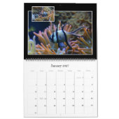 Der Korallenriff-Kalender Kalender (Jan 2027)