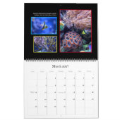 Der Korallenriff-Kalender Kalender (Mär 2027)