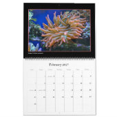 Der Korallenriff-Kalender Kalender (Feb 2027)
