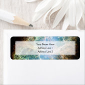 Der Krabbennebel (Hubble Teleskop) (Insitu)