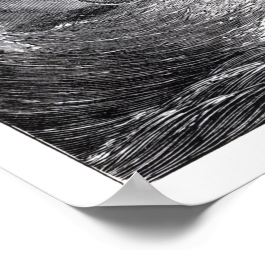 Der Kraken Poster (Ecke)