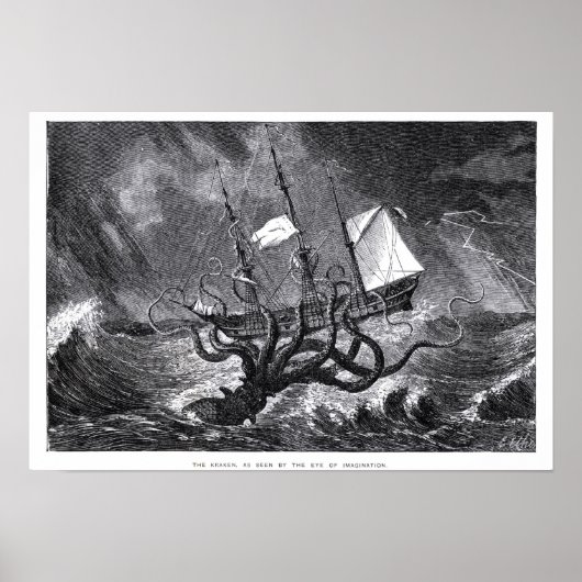 Der Kraken Poster (Vorne)