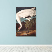 Der Kranich, von "Vögeln Amerikas" Leinwanddruck (Insitu (Holzboden))