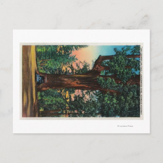 Der Kronleuchter, der Park der Unterholz Postkarte (Vorderseite)