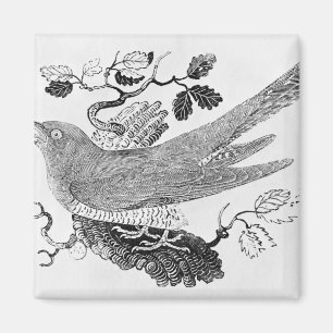 Der Kuckuck Magnet