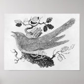 Der Kuckuck Poster (Vorne)