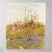 Der Kuckuck Poster (Vorne)