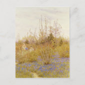 Der Kuckuck Postkarte (Vorderseite)