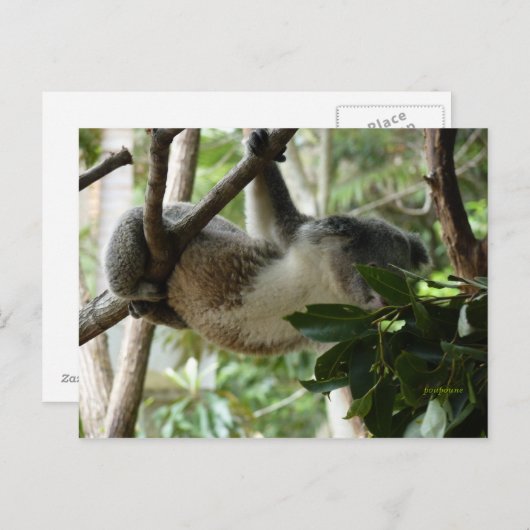 der Künstler Postkarte (Vorne/Hinten)