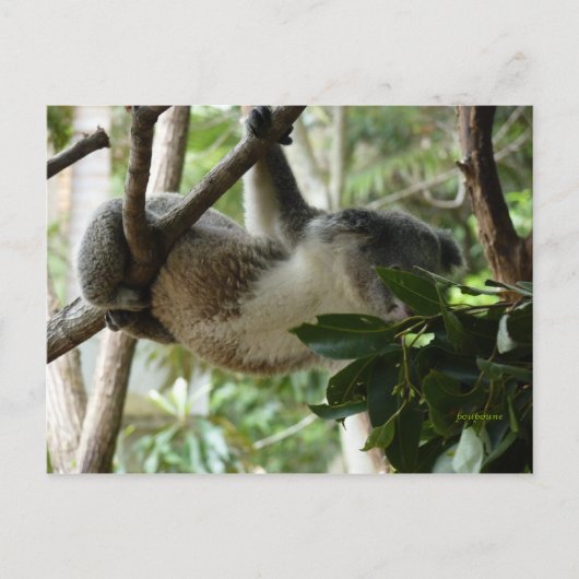 der Künstler Postkarte (Vorderseite)