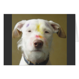 Der künstlerische Hund