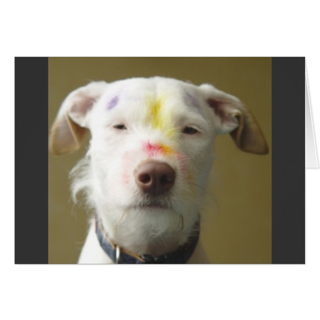 Der künstlerische Hund (Vorderseite (Horizontal))