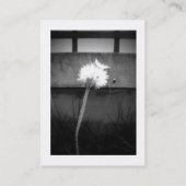 Der Kuss des Engels Visitenkarte (Rückseite)