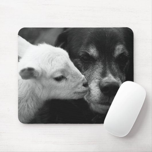 Der Kuss eines Lamms Mousepad (Mit Mouse)