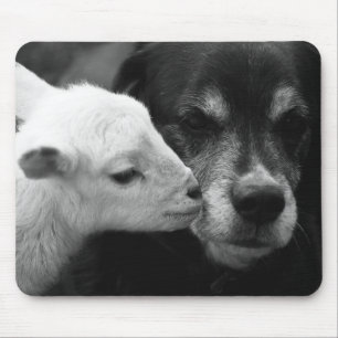Der Kuss eines Lamms Mousepad