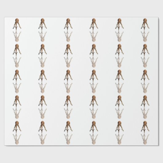 DER KUSS GESCHENKPAPIER (Flach)