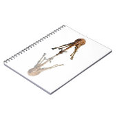 DER KUSS NOTIZBLOCK (Linke Seite)