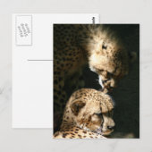 Der Kuss Postkarte (Vorne/Hinten)