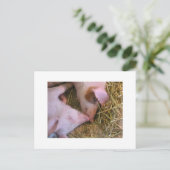 Der Kuss Postkarte (Stehend Vorderseite)