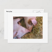 Der Kuss Postkarte (Vorne/Hinten)