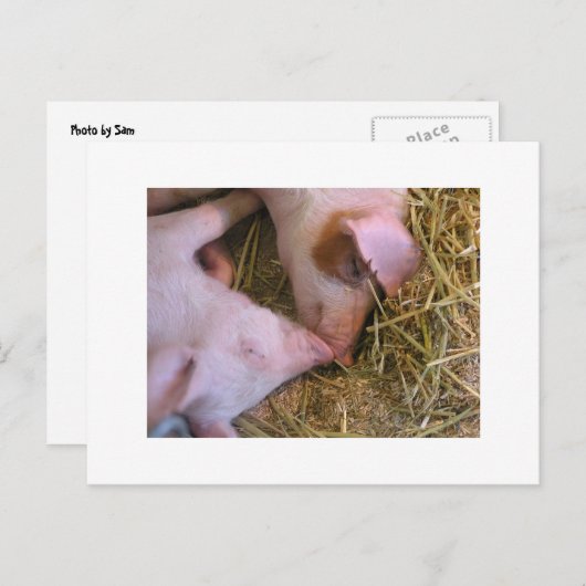 Der Kuss Postkarte (Vorne/Hinten)