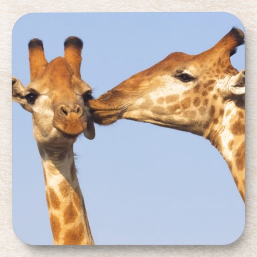 Der Kuss Untersetzer (Vorderseite)