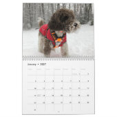 Der Labradoodle-Kalender Kalender (Jan 2027)