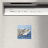 Der lächelnde Delphin Magnet (In Situ (Geschirrspüler))