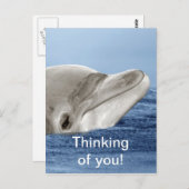 Der lächelnde Delphin Postkarte (Vorne/Hinten)