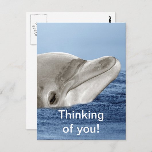 Der lächelnde Delphin Postkarte (Vorne/Hinten)