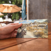 Der lächelnde Esel, Oatman Arizona