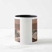 Der Landeplatz des Rovers Tasse (Zentrum)