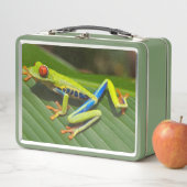 Der lange Frosch Metall Brotdose (Beispiel)