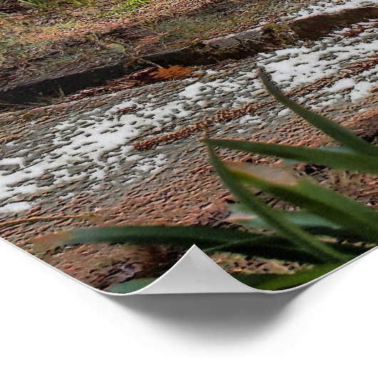 Der lange Schlaf Poster (Ecke)