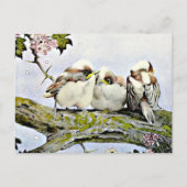 Der lange Schwanz, Edward Julius Detmold Postkarte (Vorderseite)