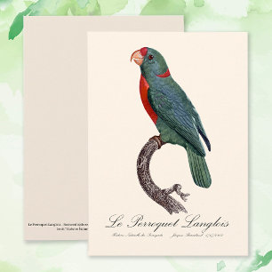 Der Langlois-Papagei von Jacques Barraband Dankeskarte