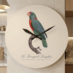 Der Langlois-Papagei von Jacques Barraband Große Wanduhr