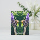 Der Lavendel und die Biene Postkarte (Stehend Vorderseite)