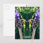 Der Lavendel und die Biene Postkarte (Vorne/Hinten)