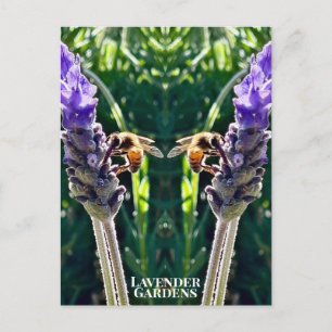 Der Lavendel und die Biene Postkarte