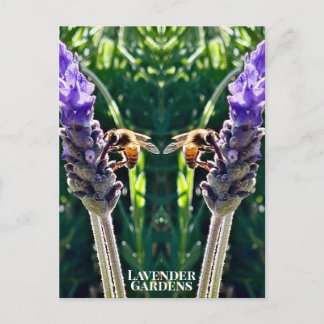 Der Lavendel und die Biene Postkarte