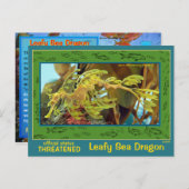 Der Leafy Sea Dragon ist gefährdet - Postkarte (Vorne/Hinten)