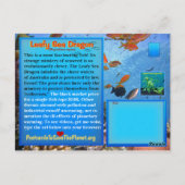 Der Leafy Sea Dragon ist gefährdet - Postkarte (Rückseite)