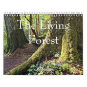 Der lebende Wald fotografisch Kalender (Titelbild)